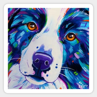 Border Collie Dog Close Up Sticker